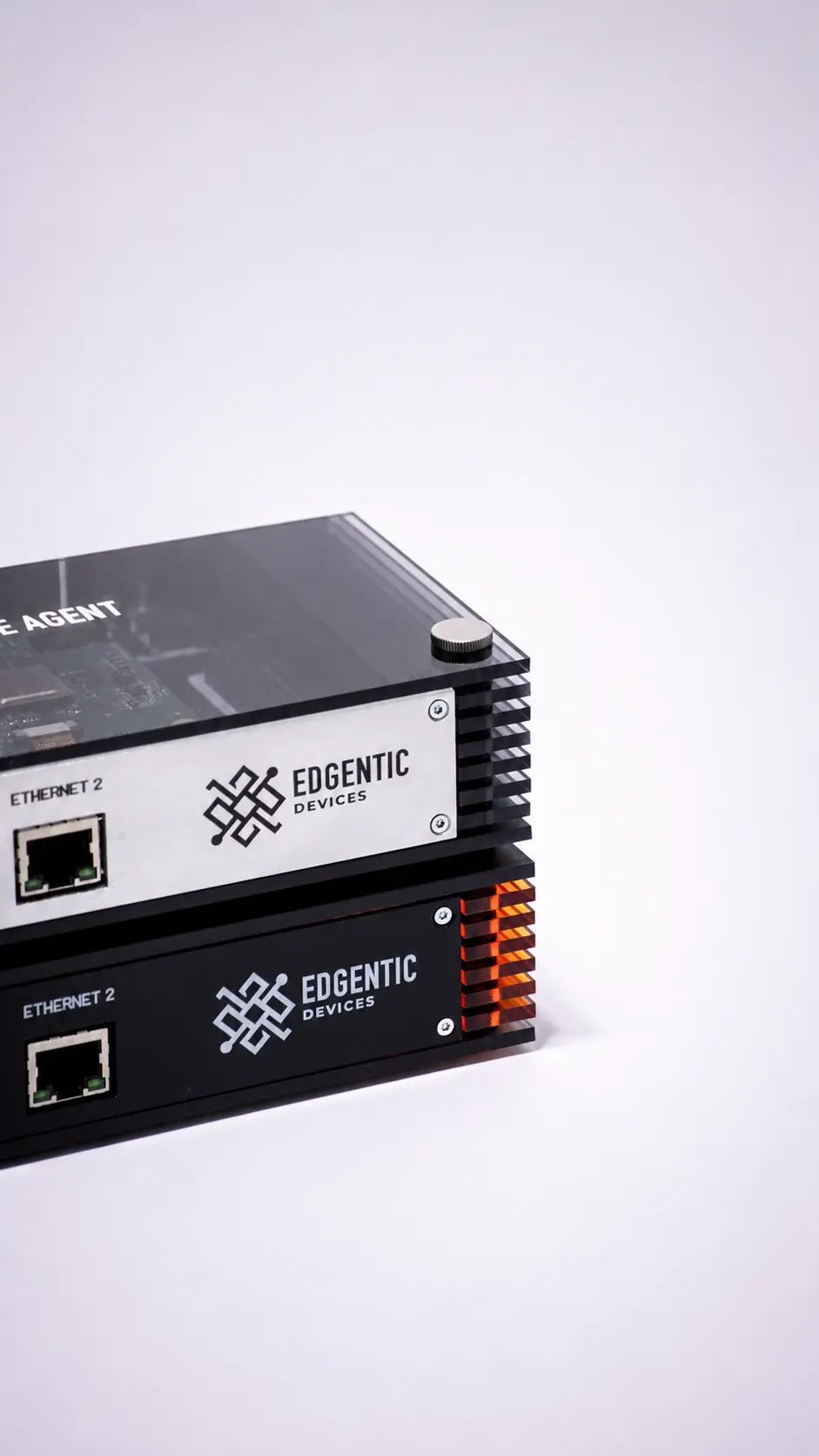 Cactus IoT — Edgentic — imagen 2